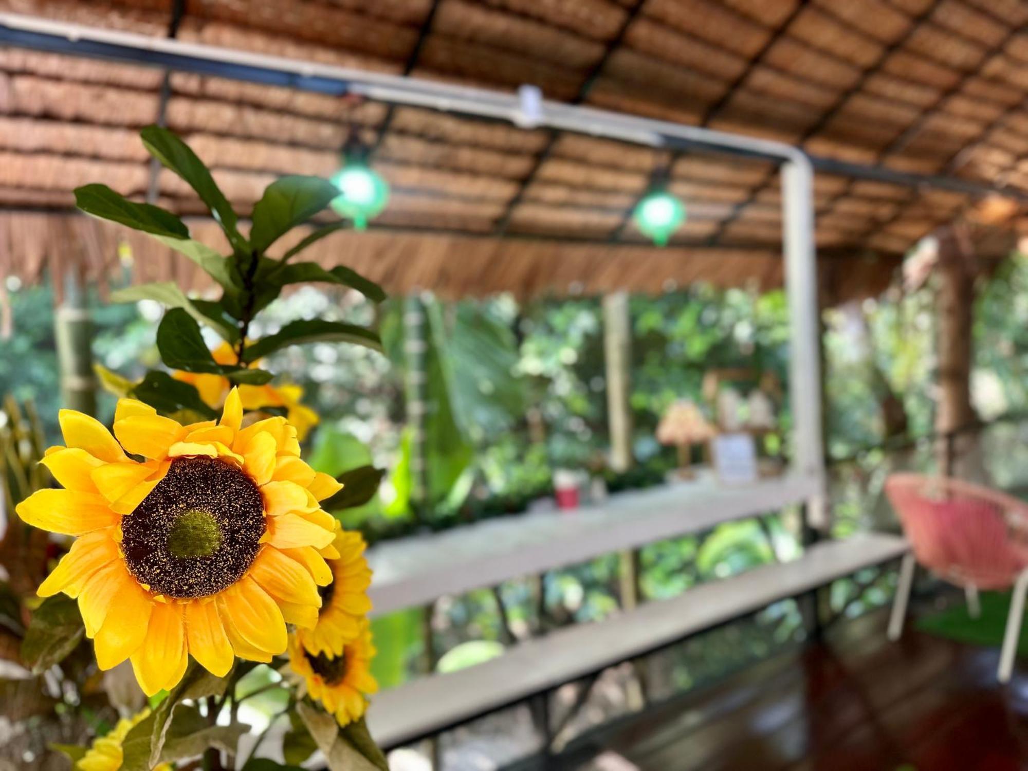 Nua Tone Resort Bang Tao & Cafe Εξωτερικό φωτογραφία